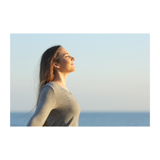 Ventilation: tout ce que vous devez savoir pour respirer un air sain chez vous