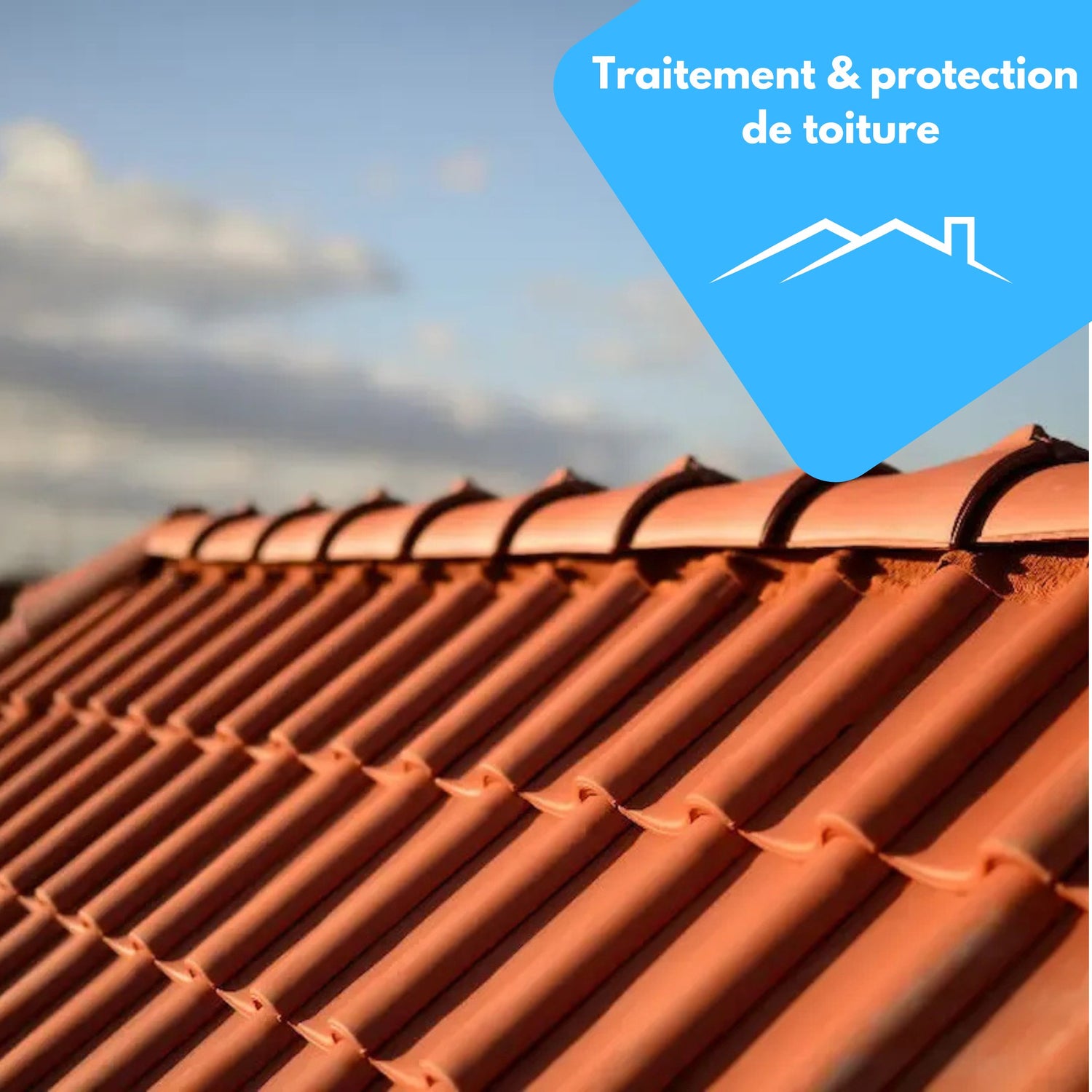 Nettoyage et protection toiture